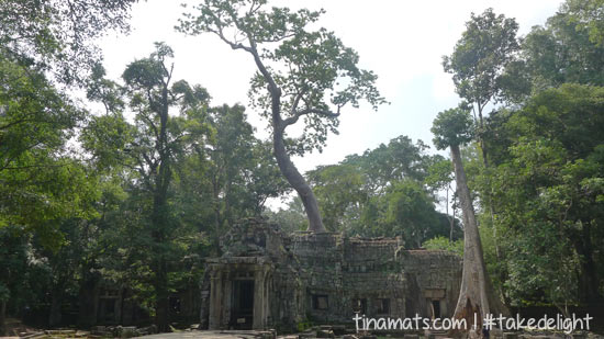 Ta Phrom, aka Tomb Raider Temple!